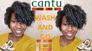 Super Defined Wash n Go  Cantu Curling Cream  Natural Hair [upl. by Dael]