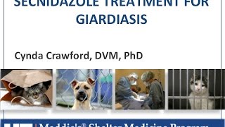 Vet to Vet Secnidazole for Giardiasis  conference recording [upl. by Agate673]