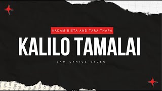 Kalilo tamalai by Padam Bista and Tara Thapa Lyrics Video [upl. by Nosimaj]