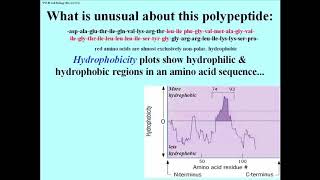 Hydropathy plot [upl. by Edrahc487]