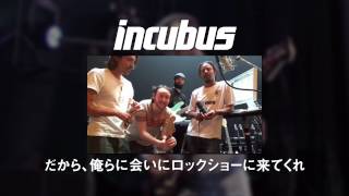 INCUBUS Japan Tour 2015 Announcement [upl. by Hallimaj]