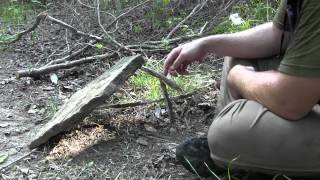 Primitive Survival Traps Split Stick Figure 4 The Easy Method [upl. by Fadiman414]