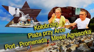 Kołobrzeg  Plaża przy Arce  Port  Promenada  Mewa Agresorka [upl. by Merrill]