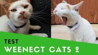 Weenect Cats 2  Test du traceur GPS pour chat [upl. by Sapphire]