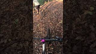 Non mi ero ricordato mtb enduromtb viralvideo downhill perte racing mtblife [upl. by Darcy]