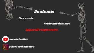 appareil respiratoireAnatomie شرح بالدارجة [upl. by Sension]