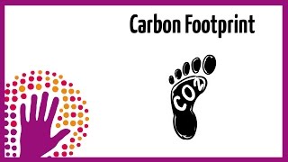 What is a Carbon Footprint [upl. by Yatnahc170]