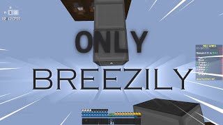 Bedwars but ONLY BREEZILY BRIDGING [upl. by Lerat]