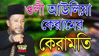 ওলী আউলিয়া কেরামের কেরামতি  আব্দুর রহমান রেজভী  ABDUR RAHMAN REZVI । Mridha HD Media [upl. by Nowell]