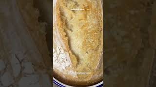 Cutting into my sourdough bread  Sourdough bread for beginners  How to bake sourdough bread [upl. by Audley]