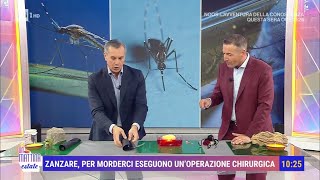 Zanzare come prevenire le fastidiose punture  Unomattina Estate 18072024 [upl. by Akire]