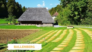 BALLENBERG SUISSE OPENAIR MUSEUM  SWITZERLAND [upl. by Rennat]