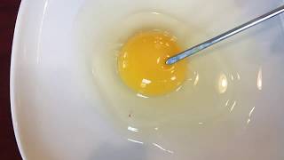 Fertilized and Unfertilized Chicken Eggs [upl. by Nellac]