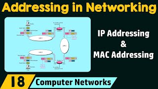 Addressing in Networking [upl. by Carlynne]