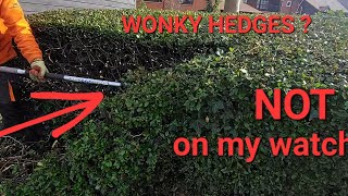 How to straighten up Hedges [upl. by Ydnec]