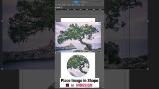 Place Image in Shape in Indesign  shorts [upl. by Hobbs353]