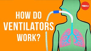 How do ventilators work  Alex Gendler [upl. by Wiltshire]