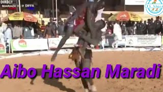 Kokowar Aibo Hassan na Maradi da Daouda Sarki na Diffa [upl. by Lleihsad832]