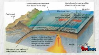 TYPES OF ENDOGENIC PROCESS [upl. by Anaujal]