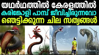 കരിങ്കോളി പാമ്പ്‌ കേരളത്തില്‍ ജീവിച്ചിരുന്നുവോ ഞെട്ടിക്കുന്ന സത്യങ്ങള്‍Crowing Crested Cobra FACTS [upl. by Natanoj680]