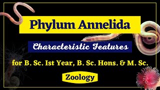 Phylum Annelida II General Characteristics II Zoology II B Sc Ist year B Sc Hons M Sc [upl. by Newmark]