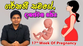 Pregnancy 17th Week  Sinhala Medical Review  අම්මයි බබයි [upl. by Wiltz]