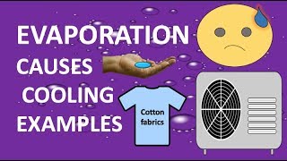 How does evaporation causes cooling examples  STATE OF MATTER 2 LIQUID CHEMISTRY  YOUTUBE [upl. by Tterb]