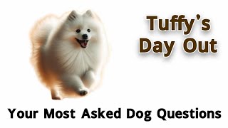 Tuffys QampA Answering Your Most Asked Dog Questions TuffysDayOut tuffysdayout adorablebobaball [upl. by Cirtemed]