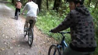 Redwood National And State Parks Bike Riding [upl. by Natka]