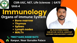 Organs of Immune System  Bone marrow Thymus Spleen Lymph nodes  Immunologygenesisinstitute [upl. by Eisoj]