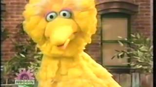 123 Sesame Street Episode 3860 FULL [upl. by Sy]