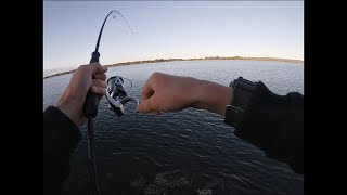 Fishing the Richmond River for Multi Species  BALLINA [upl. by Terri]