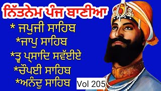 nitnem sahib full path video  Nitnem Panj bania  ਨਿਤਨੇਮ ਪੰਜ ਬਾਣੀਆ  fast nitnem choupai sahib 205 [upl. by Llenrad]