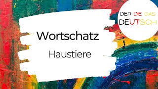 Haustiere  Deutsch lernen  Wortschatz [upl. by Marco]