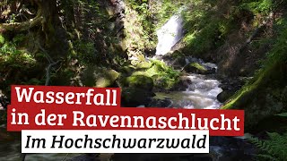 Wasserfall in der Ravennaschlucht [upl. by Tisman]