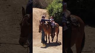 Rancho Corazon de Encino Ensenada BC MÃ‰XICO [upl. by Kcirred]