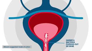 Flordis Ellura for urinary tract health [upl. by Aihseket]