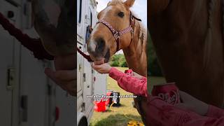 Placing At A Pro Rodeo Vlog equestrian horses barrelracing [upl. by Sheppard]