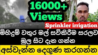 Sprinkler Irrigation System in Sinhala Sprinkler irrigation systemmihidum wathura mal wathura mal [upl. by Neelhsa]