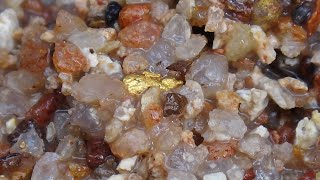 Gold Prospecting Western Australia 2021 pt1 [upl. by Emmett]