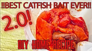 Best Catfish Bait EVER 20  NEW AND IMPROVED [upl. by Kennie976]