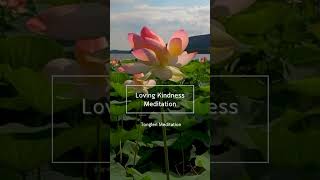 Loving Kindness Meditation lovingkindnessmeditation lovingkindness [upl. by Nitsuga734]