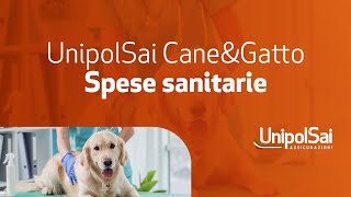 UnipolSai CneampGtto  spese sanitarie [upl. by Button]