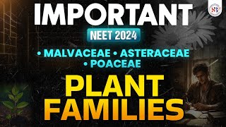 IMPORTANT PLANT FAMILIES FOR NEET 2024  MALVACEAE ASTERACEAE POACEAE  NEET BIOLOGY BY SANKALP [upl. by Barclay]