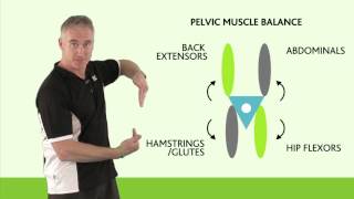 Posture  Pelvic Alignment [upl. by Anaira]