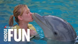 Dolphin Swim with Unlimited Food amp Drinks  Cozumel  Shore Excursions  Carnival Cruise Line [upl. by Sclar814]