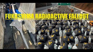 Pt 3 Nuclear Summer Mass Die Off Of Species After 80 Years Radioactive Fallout amp Fukushima 29 24 [upl. by Hazem]