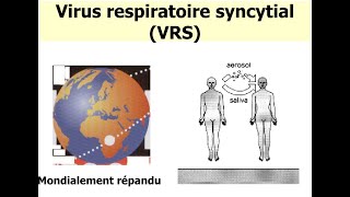 Virologie  Virus Respiratoire Syncytial VRS FMPC [upl. by Elleynod]