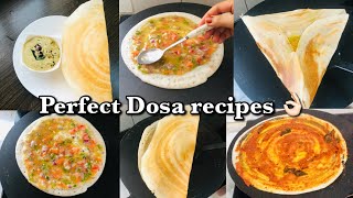 ഒരേ മാവിൽ 4 കിടിലൻ ദോശ 🔥 Perfect Dosa മാവ് ഉണ്ടാക്കാം  Dosa recipes in malayalam [upl. by Ennayk189]