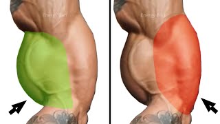 Get Huge Biceps Triceps Exercises that make Biceps Triceps Faster [upl. by Hermione]